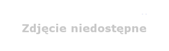 Opaska odblaskowa z logo schroniska